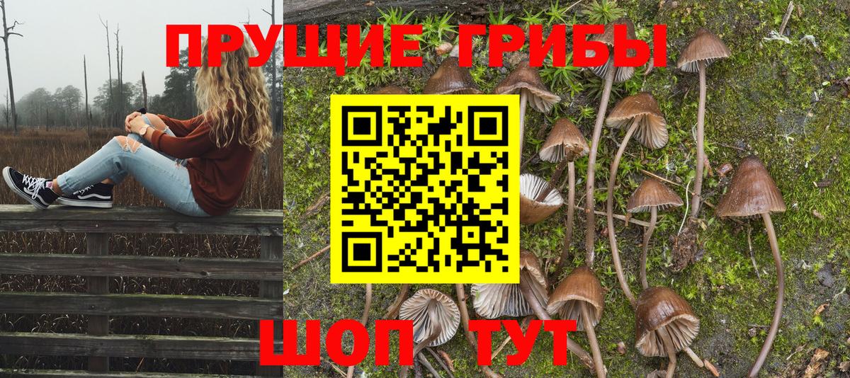 Кашира  Галлюциногенные грибы Psilocybine cubensis  Вход с VPN  Галлюциногенные грибы Magic Shrooms 